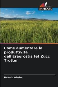 Come aumentare la produttività dell'Eragrostis tef Zucc Trotter