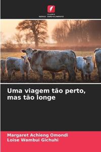 Uma viagem tão perto, mas tão longe