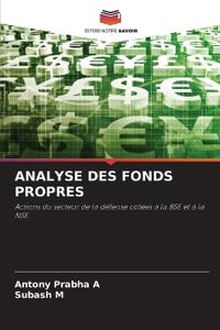 Analyse Des Fonds Propres
