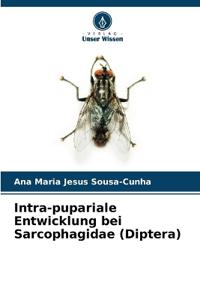 Intra-pupariale Entwicklung bei Sarcophagidae (Diptera)
