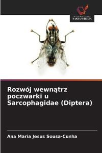 Rozwój wewnatrz poczwarki u Sarcophagidae (Diptera)