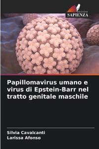 Papillomavirus umano e virus di Epstein-Barr nel tratto genitale maschile