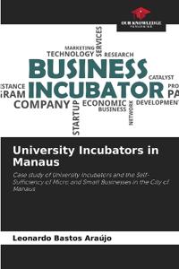 University Incubators in Manaus