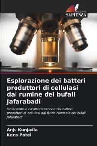 Esplorazione dei batteri produttori di cellulasi dal rumine dei bufali Jafarabadi