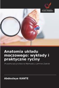 Anatomia ukladu moczowego