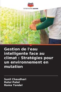 Gestion de l'eau intelligente face au climat