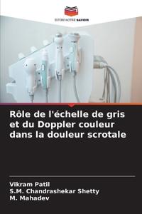 Rôle de l'échelle de gris et du Doppler couleur dans la douleur scrotale