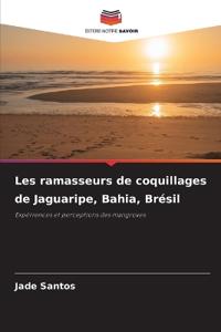 Les ramasseurs de coquillages de Jaguaripe, Bahia, Brésil
