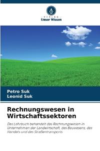 Rechnungswesen in Wirtschaftssektoren