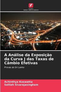A Análise da Exposição da Curva J das Taxas de Câmbio Efetivas