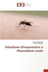 Paludisme d'importation à Plasmodium ovale