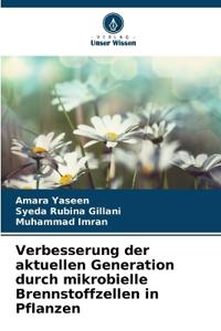 Verbesserung der aktuellen Generation durch mikrobielle Brennstoffzellen in Pflanzen