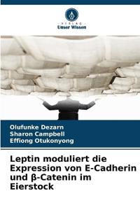 Leptin moduliert die Expression von E-Cadherin und ß-Catenin im Eierstock
