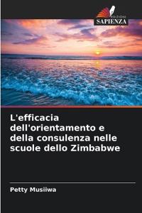 L'efficacia dell'orientamento e della consulenza nelle scuole dello Zimbabwe