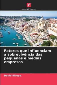 Fatores que influenciam a sobrevivência das pequenas e médias empresas