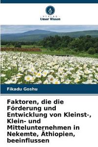 Faktoren, die die Förderung und Entwicklung von Kleinst-, Klein- und Mittelunternehmen in Nekemte, Äthiopien, beeinflussen