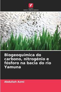 Biogeoquímica do carbono, nitrogénio e fósforo na bacia do rio Yamuna
