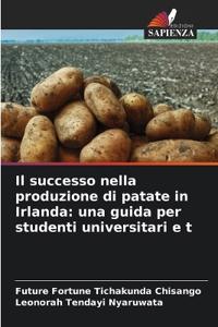 Il successo nella produzione di patate in Irlanda