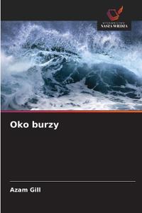 Oko burzy