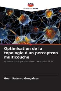 Optimisation de la topologie d'un perceptron multicouche