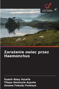 Zarazenie owiec przez Haemonchus