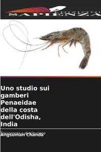 Uno studio sui gamberi Penaeidae della costa dell'Odisha, India