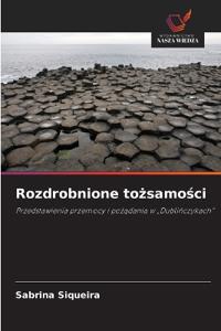Rozdrobnione tozsamosci