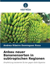 Anbau neuer Bananensorten in subtropischen Regionen