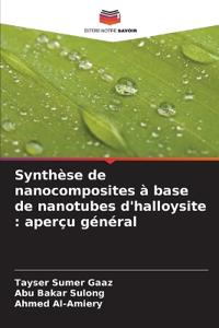 Synthèse de nanocomposites à base de nanotubes d'halloysite