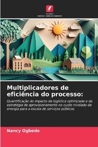 Multiplicadores de eficiência do processo