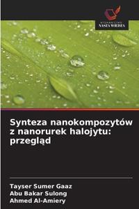 Synteza nanokompozytów z nanorurek halojytu