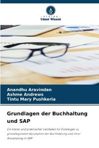 Grundlagen der Buchhaltung und SAP