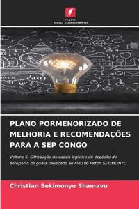 Plano Pormenorizado de Melhoria E Recomendações Para a Sep Congo