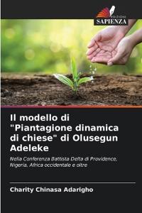 Il modello di "Piantagione dinamica di chiese" di Olusegun Adeleke