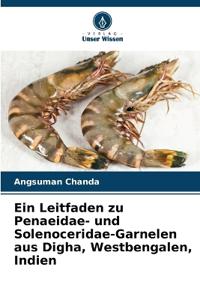 Ein Leitfaden zu Penaeidae- und Solenoceridae-Garnelen aus Digha, Westbengalen, Indien