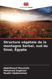 Structure végétale de la montagne Serbal, sud du Sinaï, Égypte