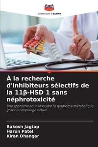 À la recherche d'inhibiteurs sélectifs de la 11ß-HSD 1 sans néphrotoxicité
