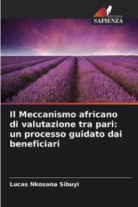 Il Meccanismo africano di valutazione tra pari