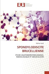 SPONDYLODISCITE BRUCELLIENNE