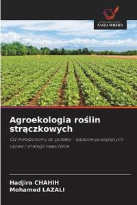 Agroekologia roslin straczkowych