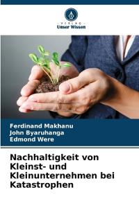Nachhaltigkeit von Kleinst- und Kleinunternehmen bei Katastrophen