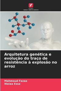 Arquitetura genética e evolução do traço de resistência à explosão no arroz