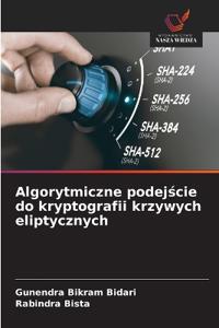 Algorytmiczne podejscie do kryptografii krzywych eliptycznych