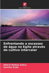 Enfrentando a escassez de água no Egito através do cultivo intercalar