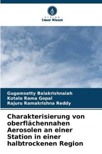 Charakterisierung von oberflächennahen Aerosolen an einer Station in einer halbtrockenen Region
