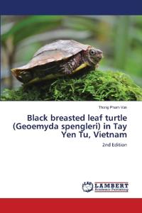 Black breasted leaf turtle (Geoemyda spengleri) in Tay Yen Tu, Vietnam