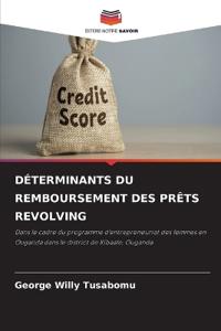 Déterminants Du Remboursement Des Prêts Revolving