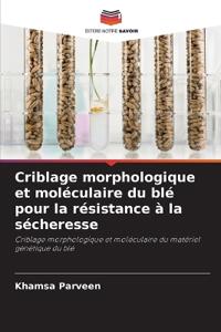 Criblage morphologique et moléculaire du blé pour la résistance à la sécheresse