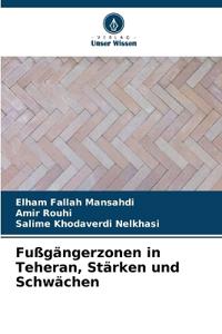 Fußgängerzonen in Teheran, Stärken und Schwächen