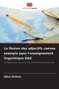 La flexion des adjectifs comme exemple pour l'enseignement linguistique DAZ